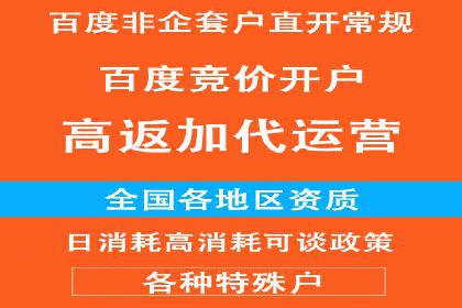 案例分析：百度竞价广告投放技巧
